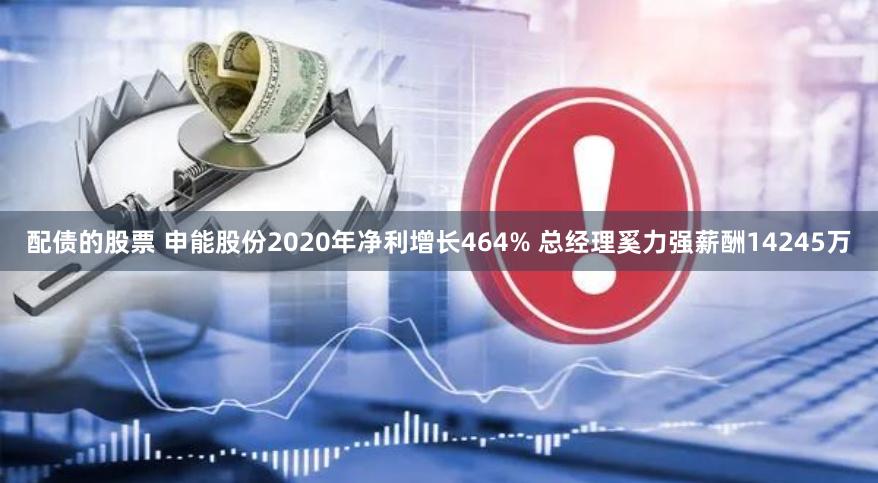 配债的股票 申能股份2020年净利增长464% 总经理奚力强薪酬14245万